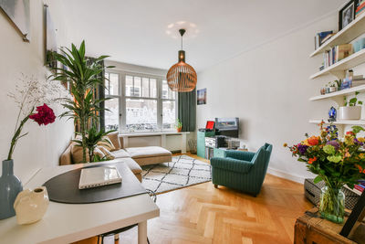 Potted plants on table at home