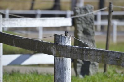 Close-up of fence on wooden post