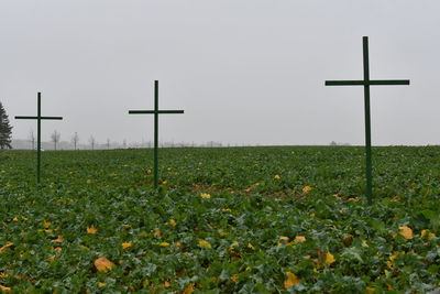 Plants growing on field against sky