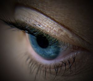 Extreme close-up of woman eye