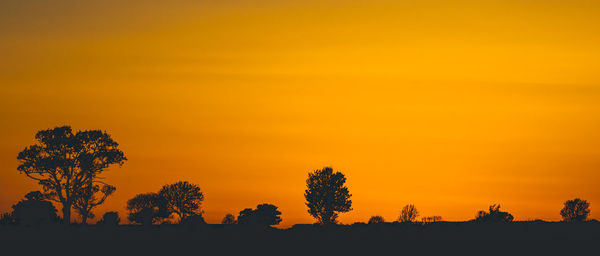 Silhouette trees on field against orange sky