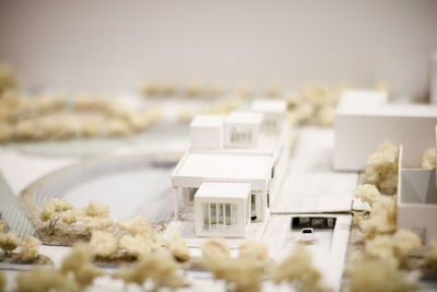 Close-up of white house on table