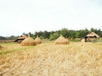 Hay bales on field against clear sky