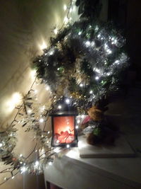 Illuminated christmas tree at night