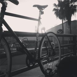 transportation