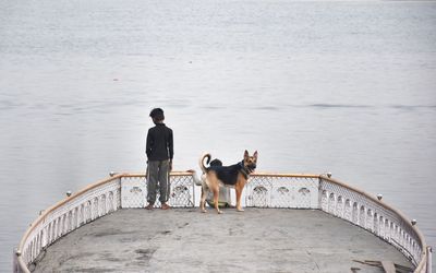 Rear view of man with dog on water