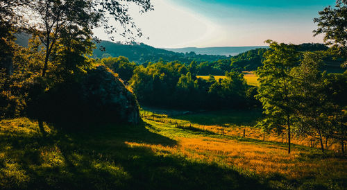 Scenic view of trees on field against sky
