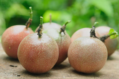 Close-up of passion fruits on cutting board against plants