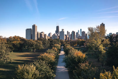 Chicago skyline aerial drone photograph above lincoln park with a tree lined walkway.