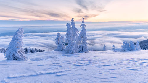 Scenic view of snow covered land during sunset