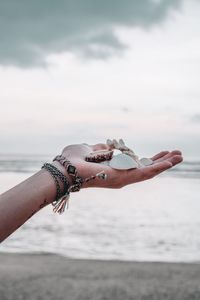 Cropped hand holding seashells at beach