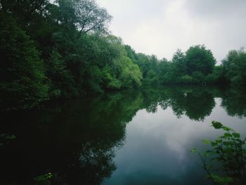 Reflection of trees in lake against sky