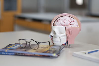 Close-up of anatomical model with book and eyeglasses on table