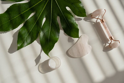 High angle view of leaves on white table