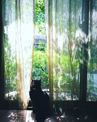 Cat amidst trees in plants