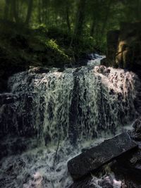 Scenic view of waterfall in forest