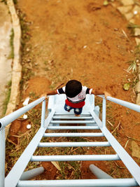 High angle view of boy on ladder