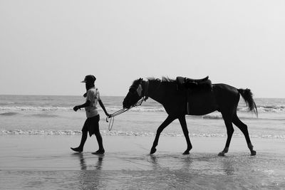 Side view of man with horse walking at beach against sky