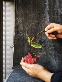 Midsection of man holding red leaf