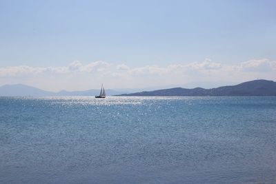 Sailboat sailing on sea against sky