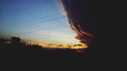 Silhouette of trees at sunset