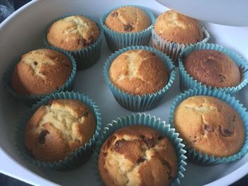 High angle view of cupcakes in plate