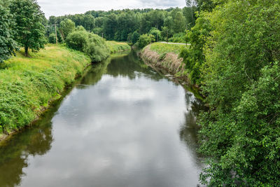 Scenic view of river amidst trees