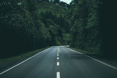 Empty road amidst trees in forest