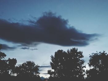 Low angle view of silhouette trees against sky