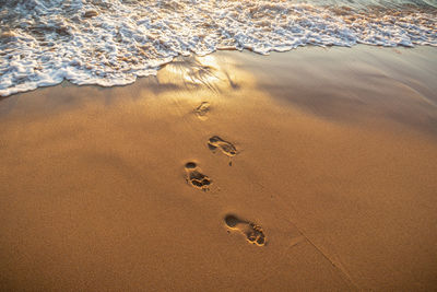 High angle view of footprints on sand at beach