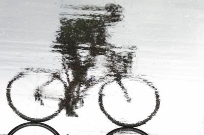 Person riding bicycle reflecting on wet road during rainy season