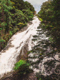 Scenic view of waterfall amidst trees in forest