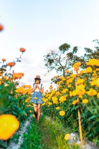 Full length of woman walking amidst flowering plants on field