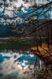 Scenic view of lake in forest against sky