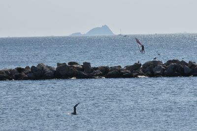 View of birds flying over sea against sky