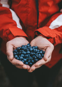 Midsection of person holding berry fruit in hand
