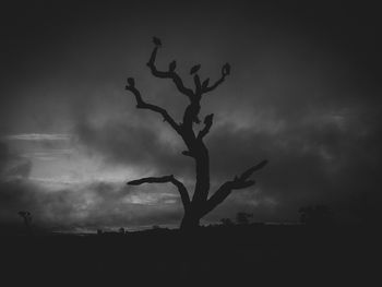 Low angle view of silhouette bare tree against sky