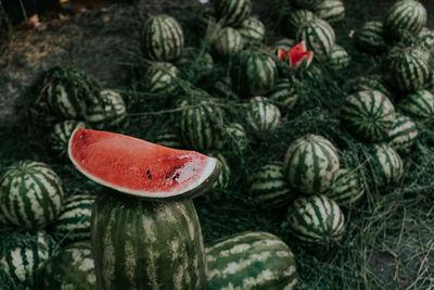 High angle view of watermelons at market