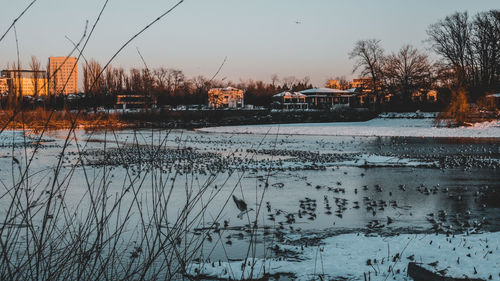 Scenic view of lake by trees against sky during winter