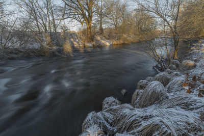 Scenic view of river flowing in forest during winter