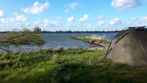 Close-up of grass by sea against sky