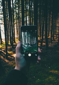 Close-up of hand photographing trees in forest