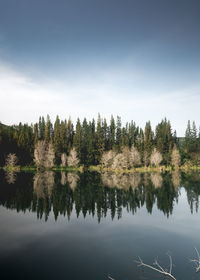 Scenic view of lake in forest against sky