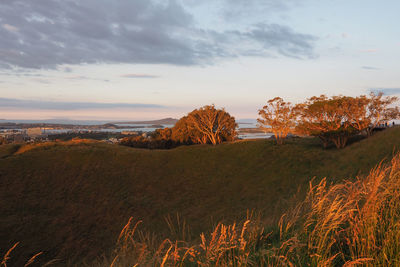 Scenic view of field against sky during sunset