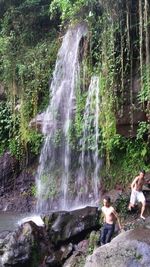 Scenic view of waterfall in forest