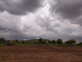 Scenic view of field against sky