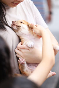 Midsection of mature woman holding puppy while standing outdoors