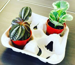 High angle view of vegetables in plate on table