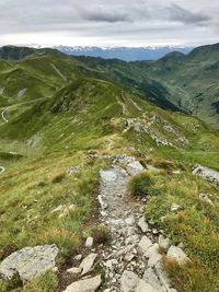 High angle view of green landscape against sky