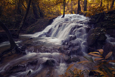 Scenic view of waterfall